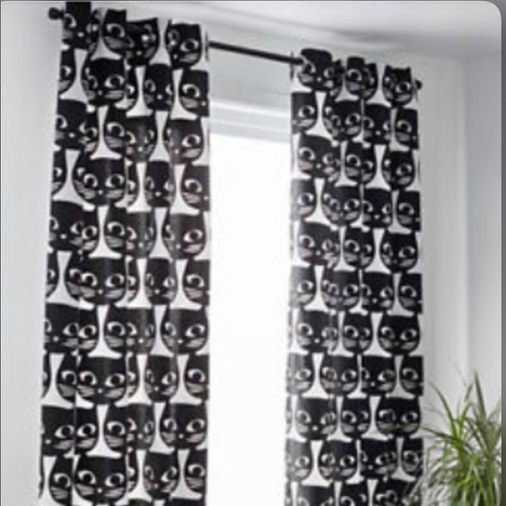 Cat curtains